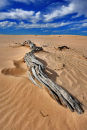 Mungo Sand